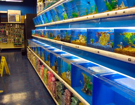 Aquarium Fish Stores In Nj Aquarium Accessories Shop Visit Aquarium