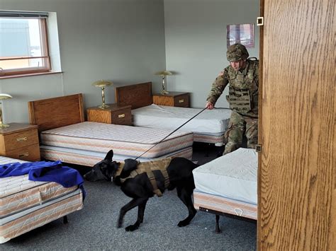 Are Dogs Allowed In Army Barracks At Fort Drum Ny