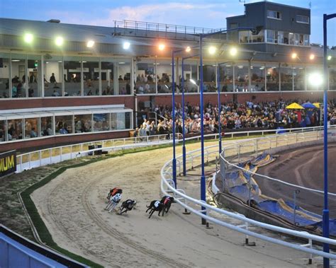 Are There Any Betting Systems For Greyhound Racing Oxford Stadium