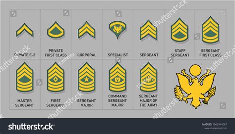 Army Enlisted Rank Insignia Isolated Vector Stock Vector, 60% Off Army Enlisted Rank Insignia Isolated Vector Stock Vector, 60% Off