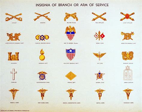 Army Officer Branches