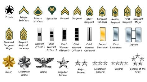 Army Officer Ranks Us Army Ranks Amp Insignia Check Complete List In Army Officer Ranks Us Army Ranks Amp Insignia Check Complete List In