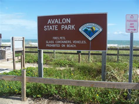 Avalon State Park A Florida State Park Located Near Fort Pierce