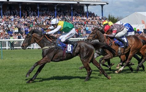 Ayr Race Card Today Ultimate Guide To Scottish Grand National Saturday