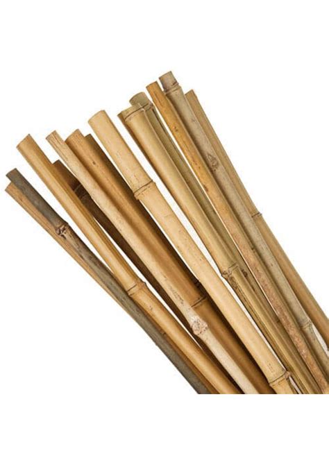 Bamboo Stick 60Cm Gruun