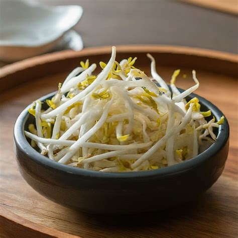 Bean Sprouts Bean Sprouts