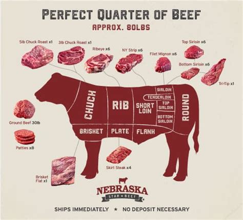 Beef Cuts Guide F N Sharp Blog
