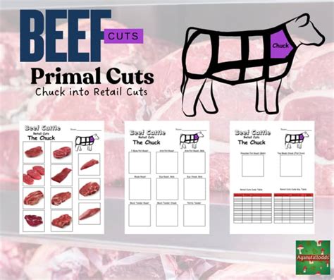 Beef Primal Cuts The Chuck Retail Cuts By Aganstallodds Tpt