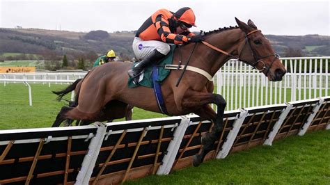 Ben Pauling On Cheltenham Festival Hopes Including Diva Luna And Pic Roc