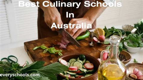 Best Culinary Schools In Australia 2024 Every Schools