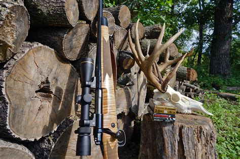 Best Deer Hunting Rifle Buyers Guide