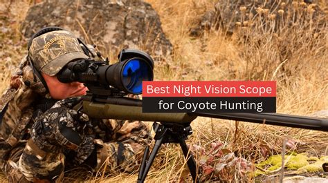 Best Night Vision Thermal Scope For Coyote Hunting At Eileen Guan Blog Best Night Vision Thermal Scope For Coyote Hunting At Eileen Guan Blog