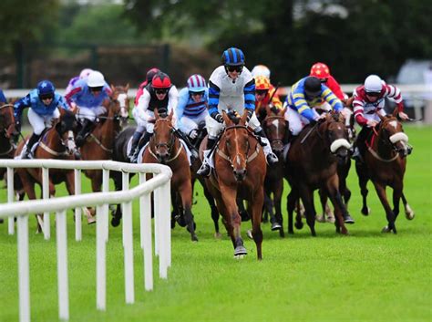 Best Professional Horse Racing Tips