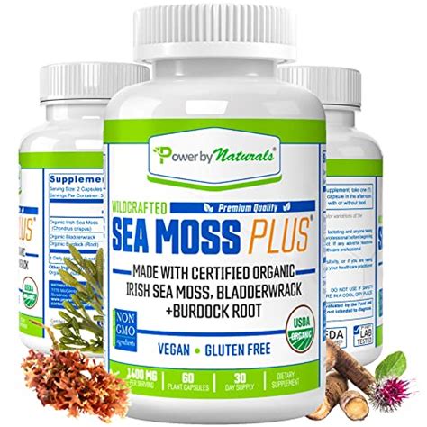 Best Sea Moss To Buy 2025 Updated Taste Of St Louis