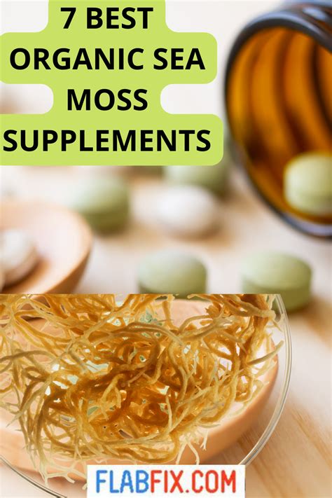 Best Sea Moss To Buy
