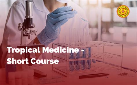 Best Tropical Medicine Schools At Carlos Brookover Blog