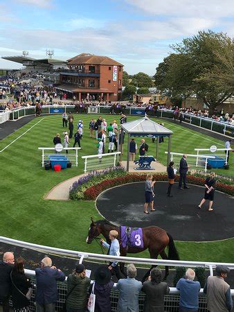 Beverley Racecourse 2026 All You Need To Know Before You Go With Reviews