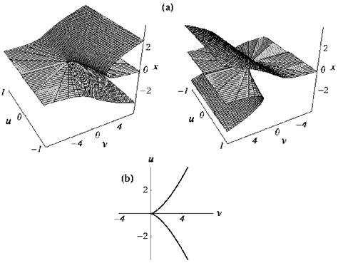 Exploring Bifurcation Phase Changes: Concepts, Triggers, Outcomes