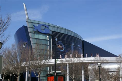 Biggest Aquarium In The Us