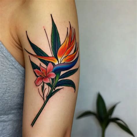 Bird Of Paradise Tattoo Polynesian Tattoo Designs Paradise Tattoo Bird Of Paradise Tattoo Polynesian Tattoo Designs Paradise Tattoo