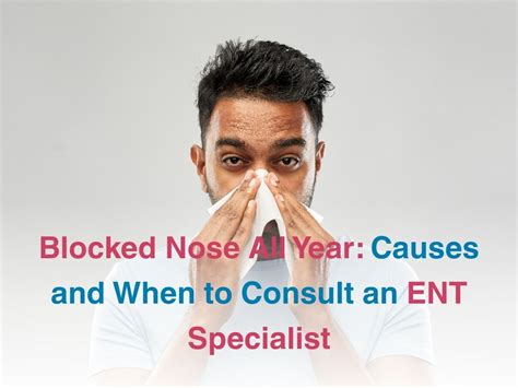 Blocked Nose All Year Causes And When To Consult An Ent Specialist Blocked Nose All Year Causes And When To Consult An Ent Specialist