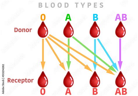 Blood Type Universal Receiver
