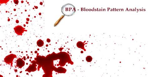 Bloodstain Pattern Analysis Wikipedia