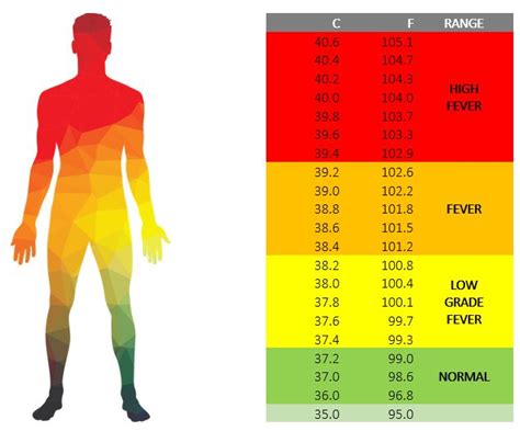Body Temperature Chart Normal Fever Hypothermia Dw