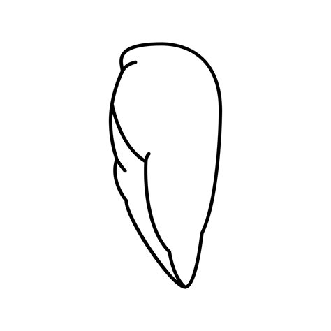 Breast Boneless Skinless Chicken Line Icon Vector Illustration 19592071