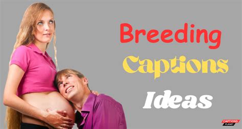 5 Sizzling Secrets to Breeding Porn GIFs
