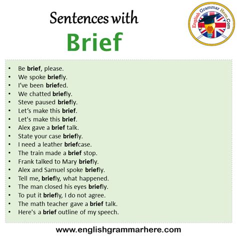 Brief In A Sentence Translateen English Sentence Dictionary