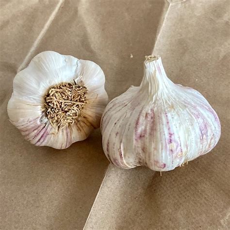 Bulk Garlic Packages For Farmers And Gardeners Keene Garlic