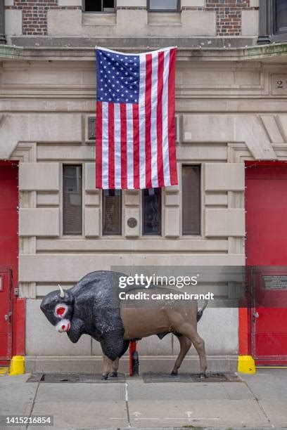 Bull Flag Photos And Premium High Res Pictures Getty Images