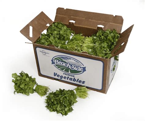 Bunch Items Cilantro Kale Parsley Spinach Beachside Produce