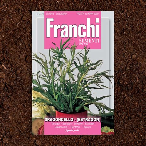 Buy Russian Tarragon Herb Seeds The Worm That Turned Revitalising