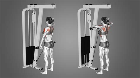 Cable Upright Rows Benefits Muscles Worked And More Inspire Us