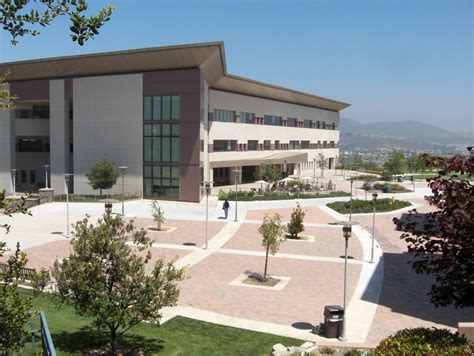 Cal State San Marcos Library: Hidden Treasures Revealed