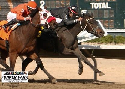 Call Me Fast Horse Profile Bloodhorse Call Me Fast Horse Profile Bloodhorse