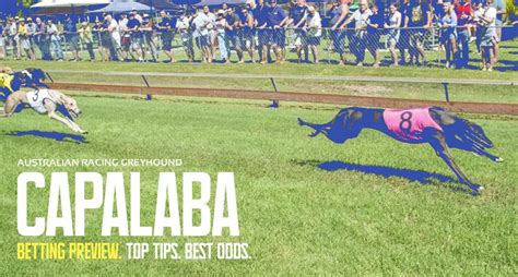 Capalaba Greyhound Racing Tips Amp Best Bets June 22 Capalaba Greyhound Racing Tips Amp Best Bets June 22