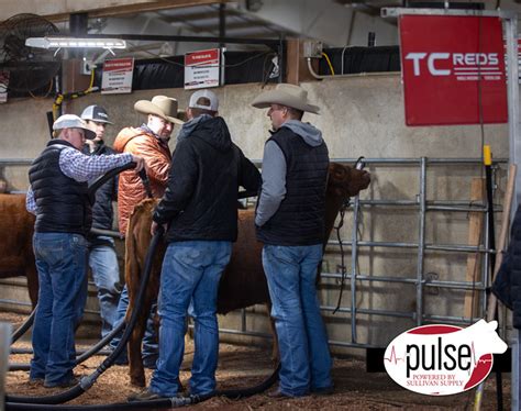 Cattlemen S Congress Midweek Madness In Okc The Pulse