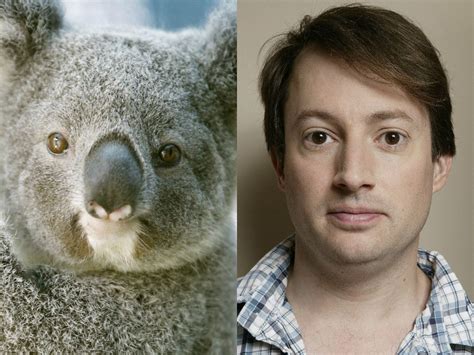 Celebrity Look Alike Animals Celebrity Look Alike Animals