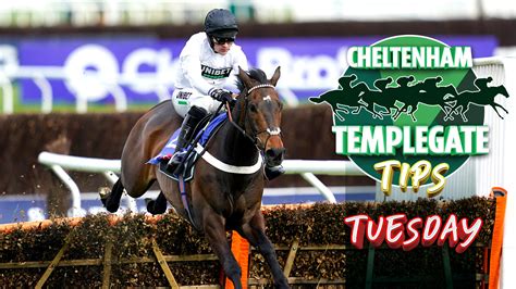 Cheltenham Festival Horse Racing Tips Templegate Nap Can Get Punters