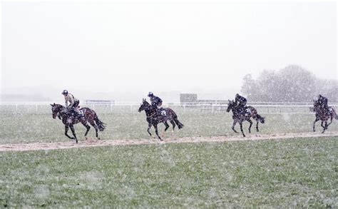 Cheltenham Festival Weather Snow Falls At The Races As Wintry Showers Hit The Greatest Show On Turf With Thousands Of Punters Facing Chilly Day Two Temperatures Set To Reach Just 9C Cheltenham Festival Weather Snow Falls At The Races As Wintry Showers Hit The Greatest Show On Turf With Thousands Of Punters Facing Chilly Day Two Temperatures Set To Reach Just 9C