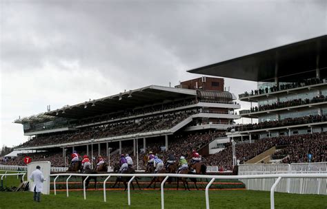 Cheltenham Races Today