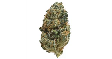 Cherry Bomb Cannabis Strain Products Growdiaries