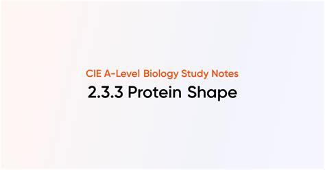 Cie As A Level Biology 2 3 Proteins Study Notes