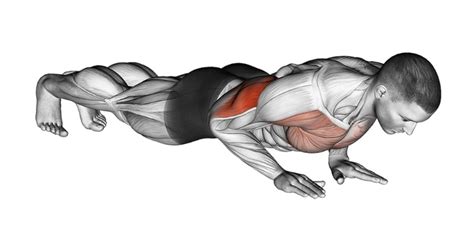Close Grip Push Ups To Work Your Chest And Triceps A Lean Life