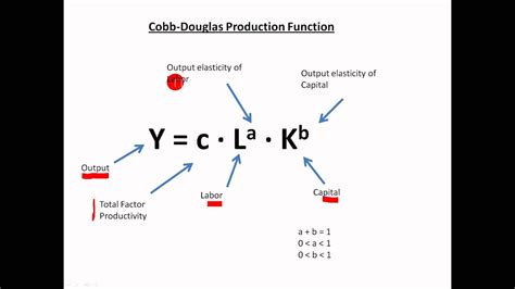 Unlocking the Secrets of the Cobb Douglas Production Function: Key Insights for Businesses