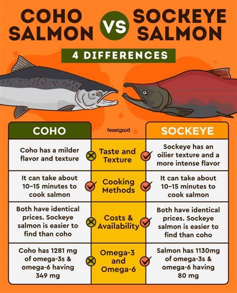 Coho Vs Sockeye Salmon What Are The Differences Feastgood Com