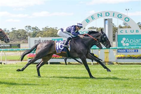 Connections Melbourne Cup Dreaming With Samuel Langhorne